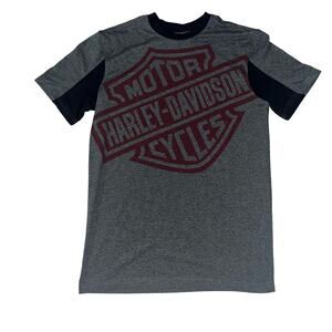 Harley Davidson Men’s SM Allegiance Performance Graphic T-shirt